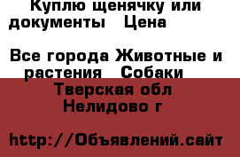 Куплю щенячку или документы › Цена ­ 3 000 - Все города Животные и растения » Собаки   . Тверская обл.,Нелидово г.